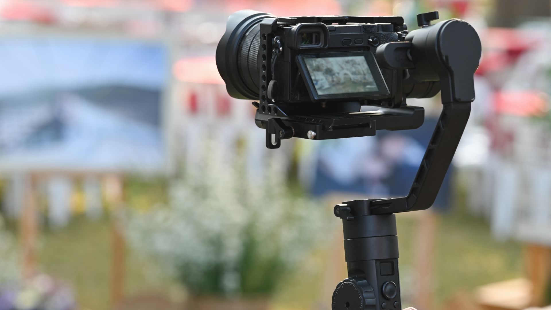 Our Experts in Delta, BC by Forever Cleaning Services